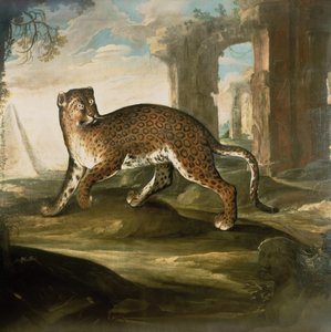 Jaguariin
